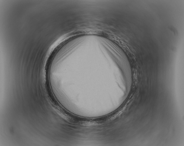 X0000111160246200907281159