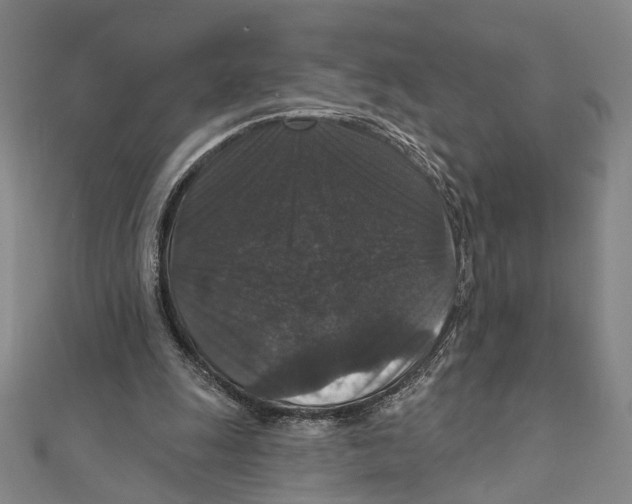 X0000111160247200907281159