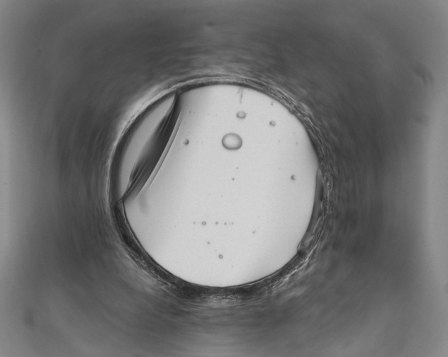 X0000111160248200907281159
