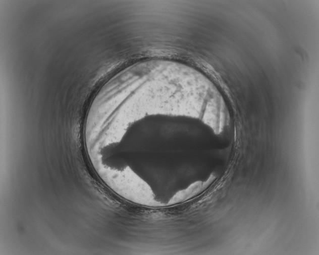 X0000111160249200907281159