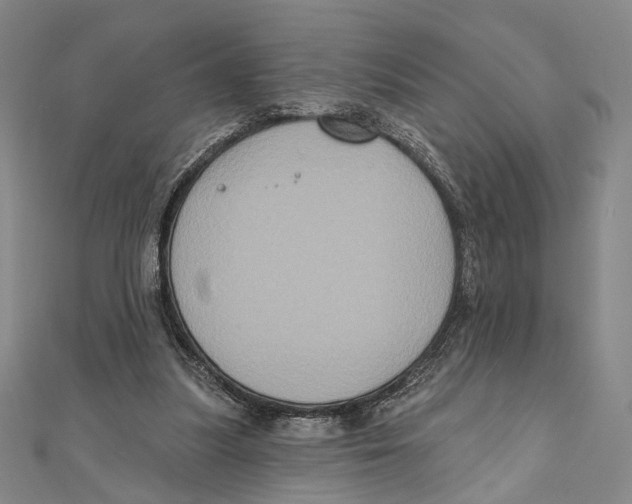 X0000111160251200907281159