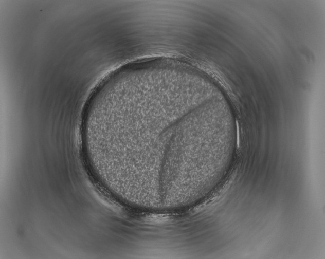 X0000111160252200907281159