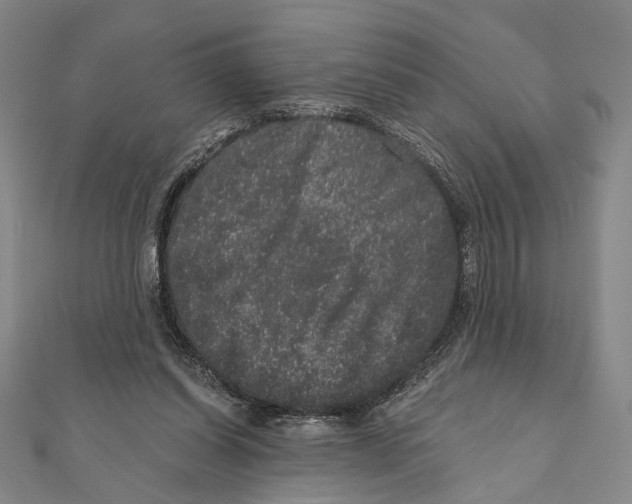 X0000111160254200907281159