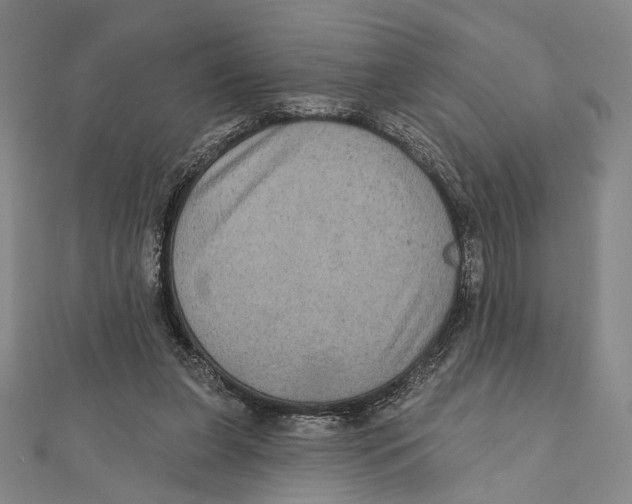 X0000111160255200907281159
