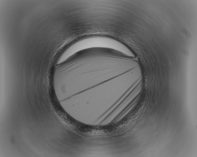 X0000111160256200907281159