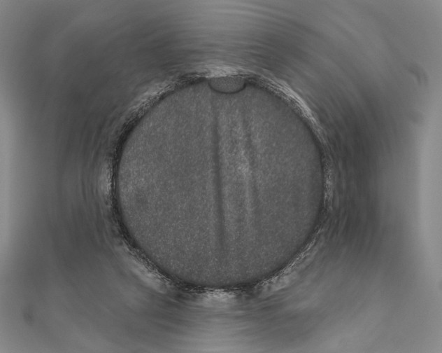 X0000111160257200907281159