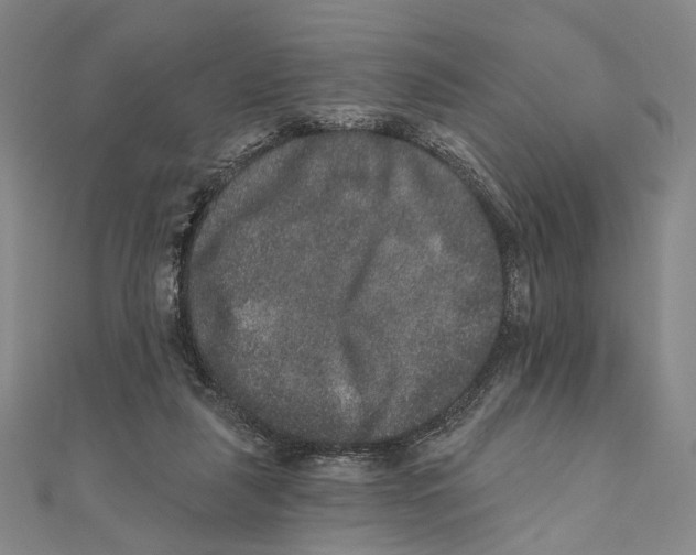 X0000111160259200907281159