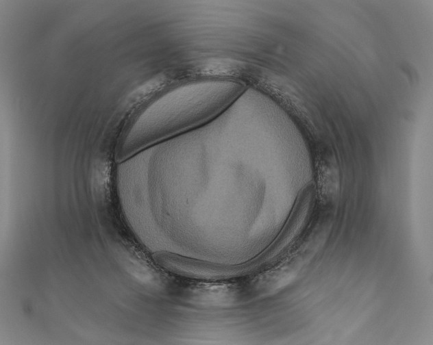 X0000111160260200907281159