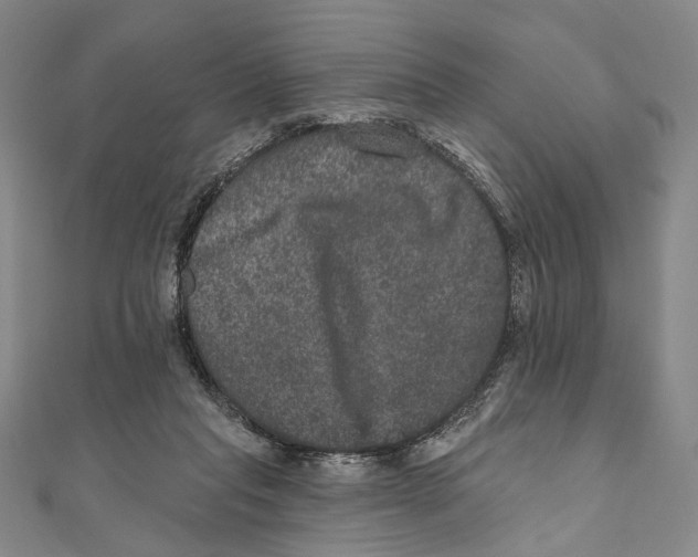 X0000111160261200907281159
