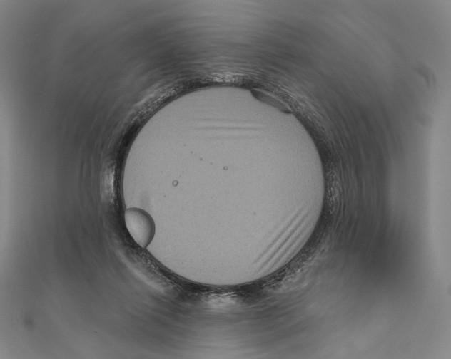 X0000111160262200907281159
