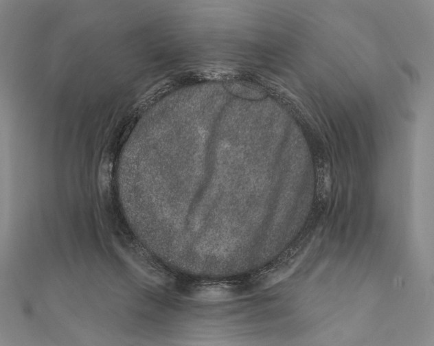 X0000111160263200907281159