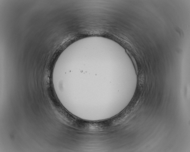 X0000111160264200907281159