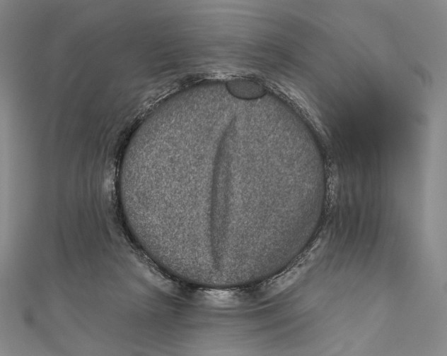 X0000111160265200907281159
