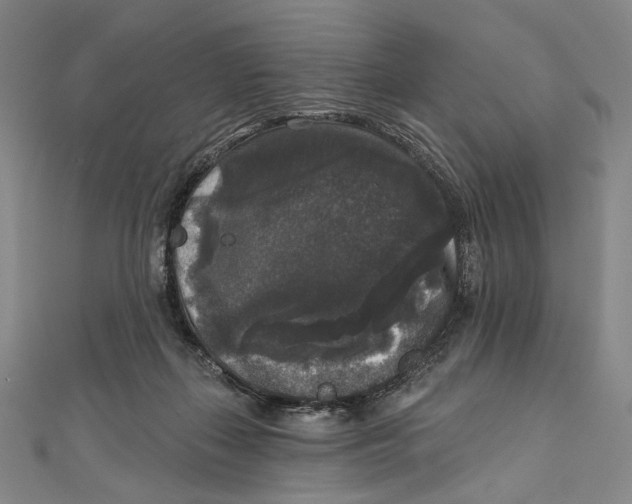 X0000111160267200907281159