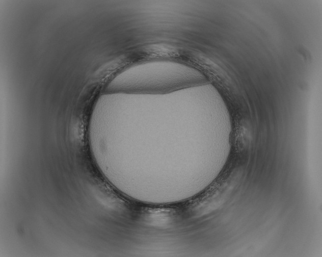 X0000111160268200907281159
