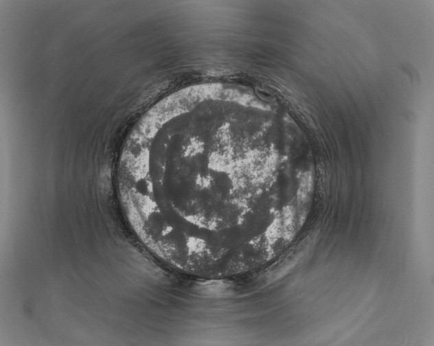 X0000111160269200907281159
