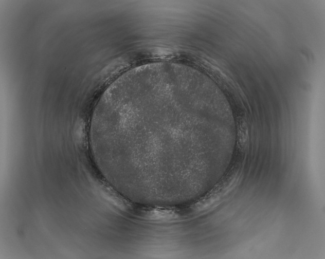 X0000111160270200907281159