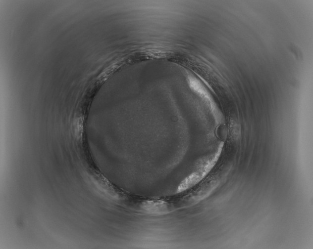 X0000111160271200907281159