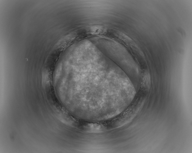 X0000111160272200907281159