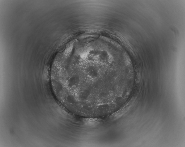 X0000111160273200907281159