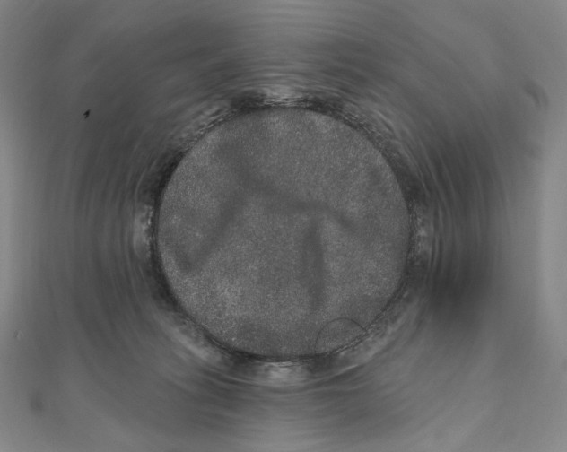 X0000111160275200907281159