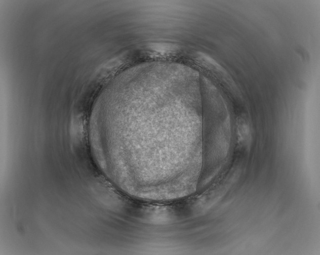 X0000111160276200907281159