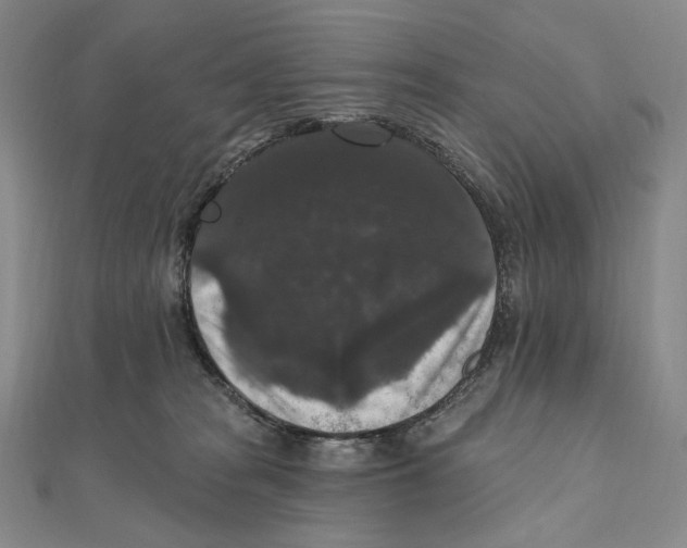 X0000111160277200907281159