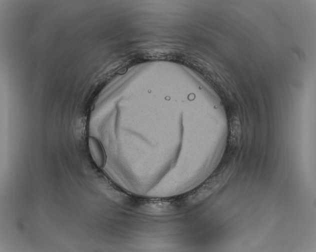 X0000111160278200907281159