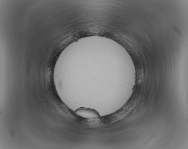X0000111160279200907281159