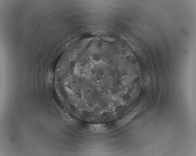 X0000111160281200907281159