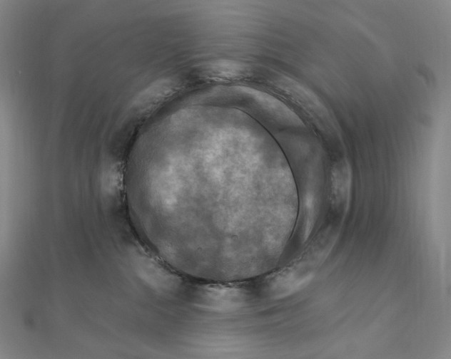 X0000111160284200907281159