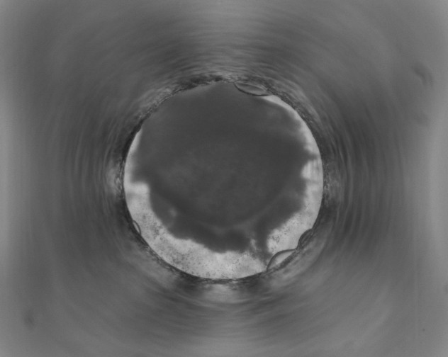 X0000111160285200907281159