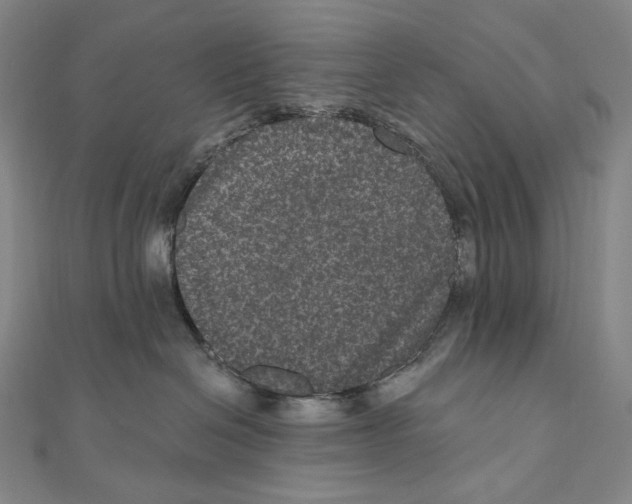 X0000111160286200907281159