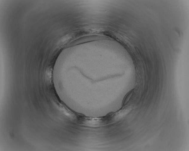 X0000111160288200907281159