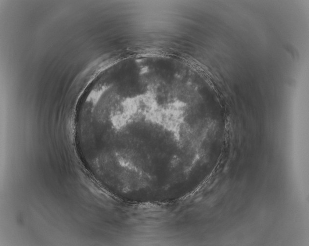 X0000111160290200907281159