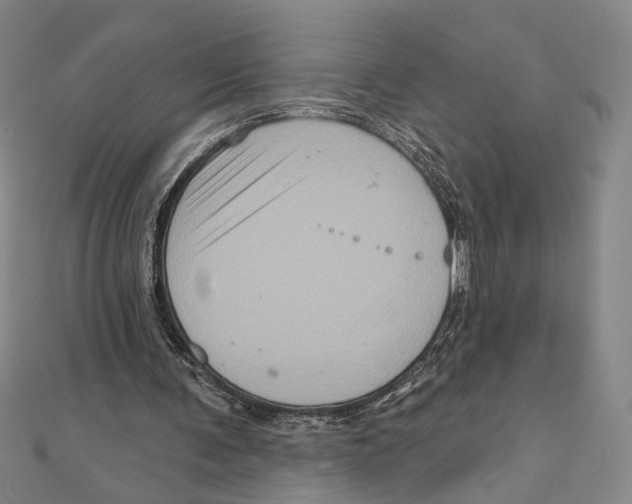 X0000111160291200907281159