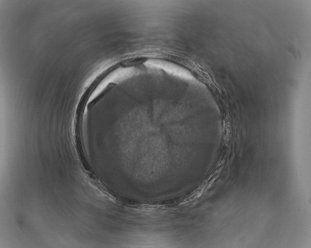 X0000111160292200907281159