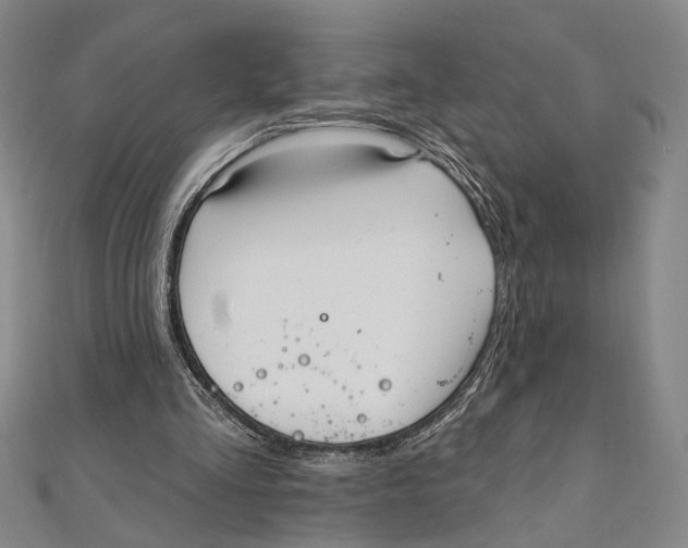 X0000111160293200907281159