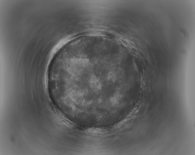 X0000111160294200907281159