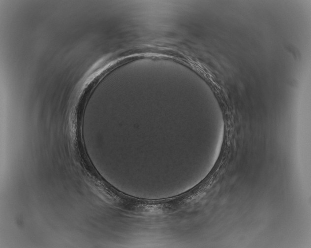 X0000111160295200907281159
