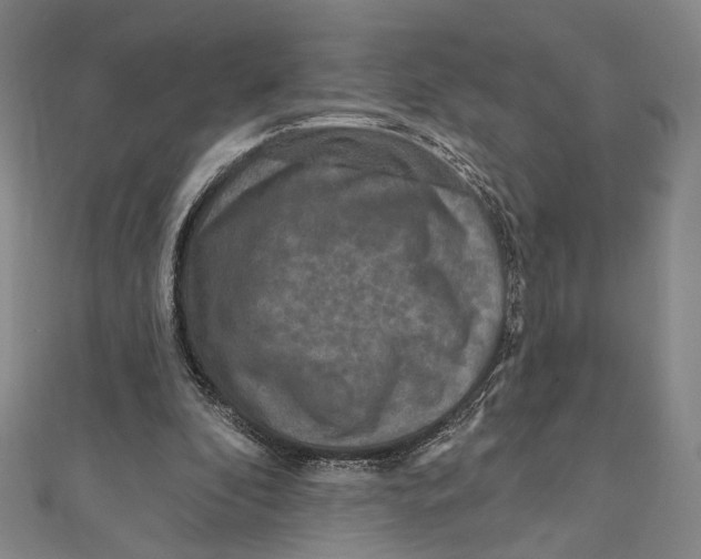 X0000111160296200907281159