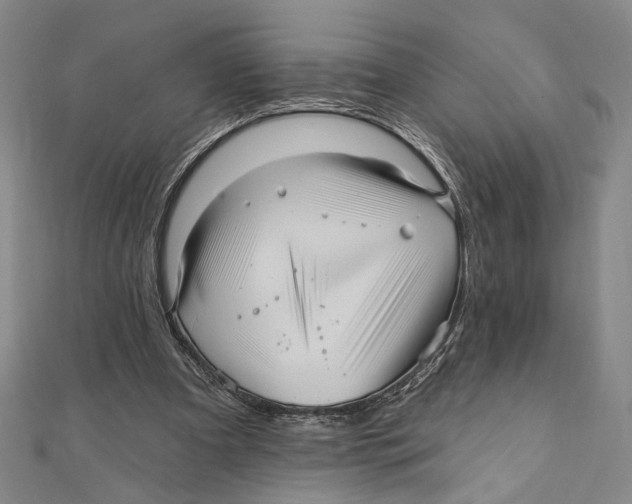 X0000111160297200907281159