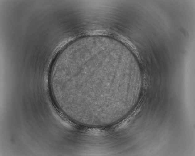 X0000111160298200907281159