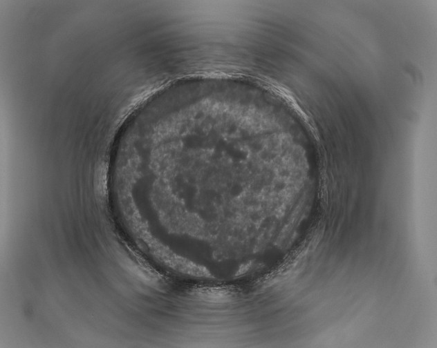 X0000111160299200907281159