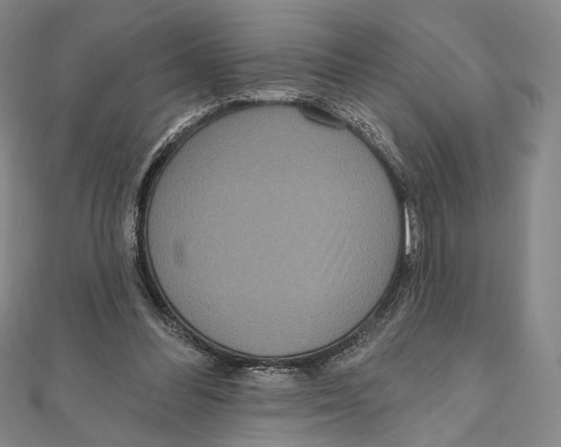 X0000111160300200907281159
