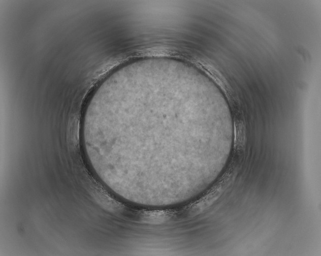 X0000111160301200907281159