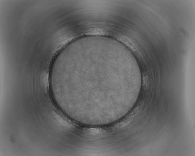 X0000111160302200907281159
