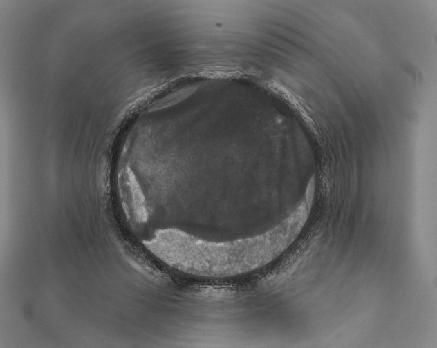 X0000111160303200907281159