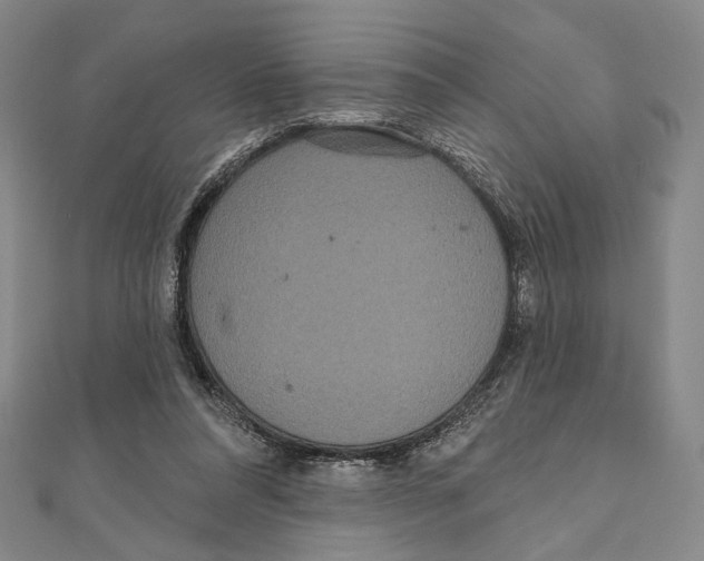 X0000111160304200907281159