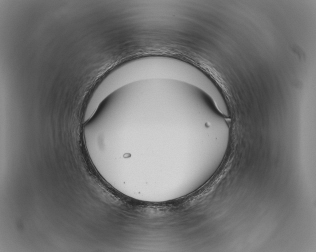 X0000111160305200907281159